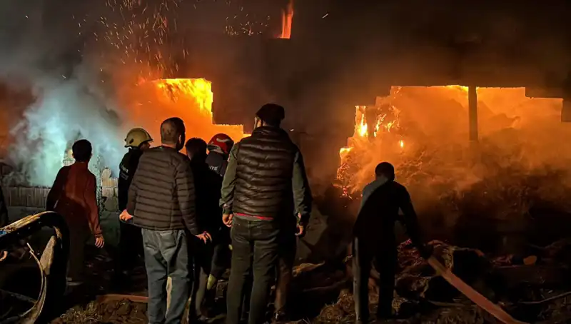 Bolu'da Meydana Gelen Şok Edici Ahır Yangını Hayvanları Tehdit Ediyor