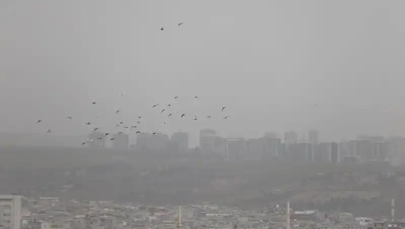 Şanlıurfa'da Toz Bulutu Alarmı: Görüş Mesafesi Sıfıra Düştü!