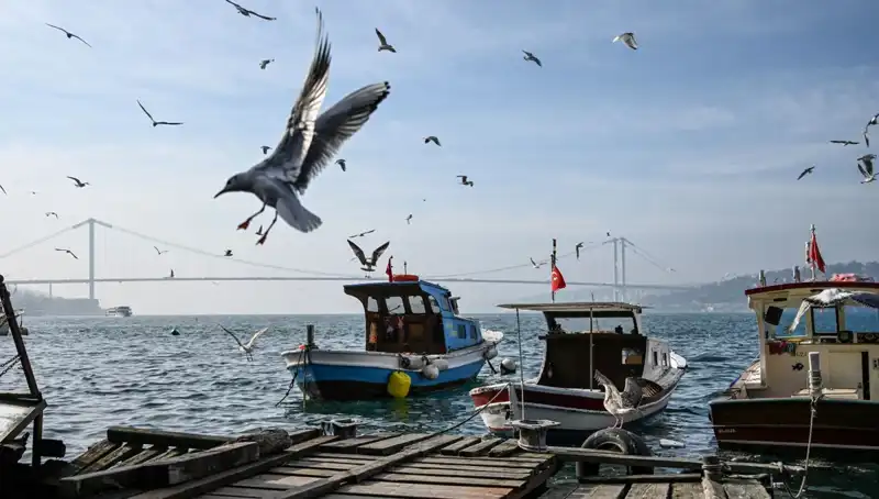 İstanbul’da Hava Durumu Müjdeli Haber Veriyor: Bahar Geldi!