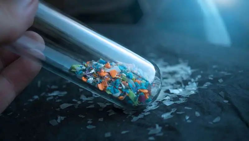 Mikroplastikler Beynimizde Hangi Zararlara Yol Açıyor?