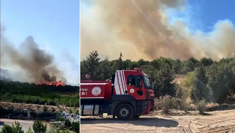 Gebze'de Korkutan Orman Yangını: Şehir Alarma Geçti!