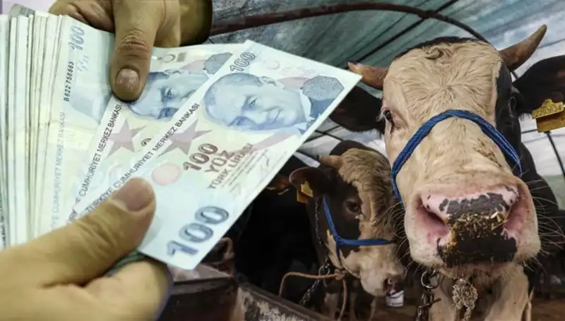 Emekli ve Memur Maaşları Kurban Bayramı Öncesinde Yatacak mı?