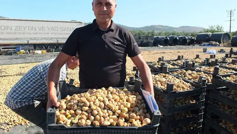 Balıkesir'in Lezzetli Ürünleri: Çin ve Rusya'ya İhraç Başladı!