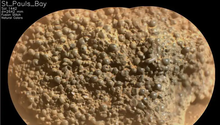 Mars'ta Garip Bir Keşif: Örümcek Yumurtaları mı Bulundu?
