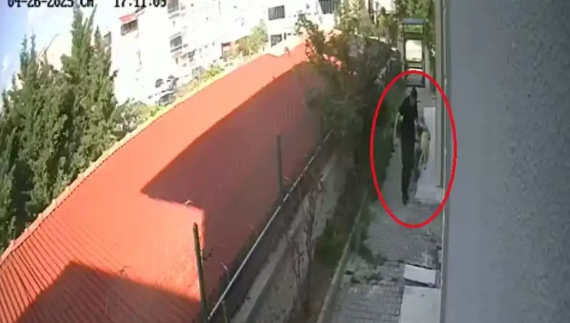 Veteriner Doktorun Korkunç Suçları: Sahiplendiği Köpekleri Öldürdü!