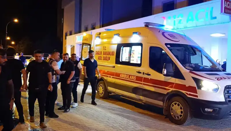 Kardeşini Kurtarmak İçin Araya Girdi, Hayatı Son Buldu