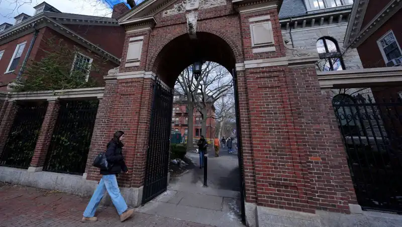 Harvard Profesörleri, Trump Yönetimine Hukuki Mücadele Açtı!