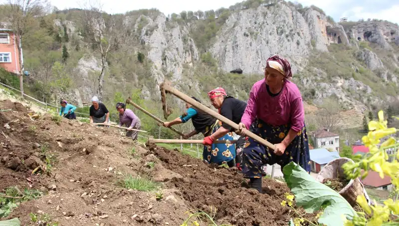 Zorlu Mesai Başladı: Sırtlarda Sepet, Ellerde Kazmalarla Gayret İçerisinde
