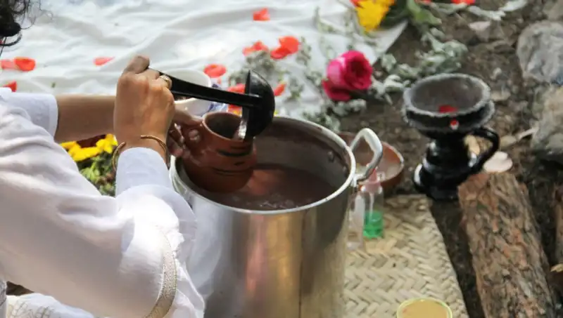 Ayahuasca: Psikoaktif Çayın Faydaları ve Yasal Durumu