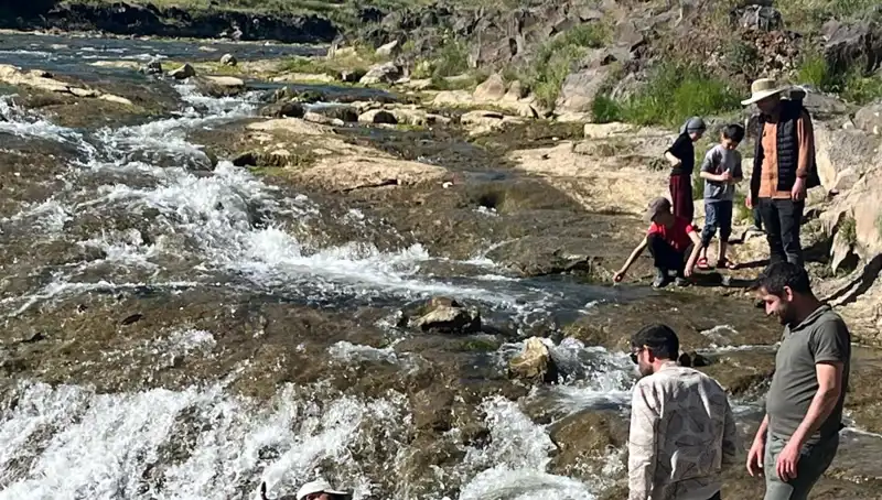 İnci Kefali Göçü: Doğa Mucizesi Turistleri Büyülüyor
