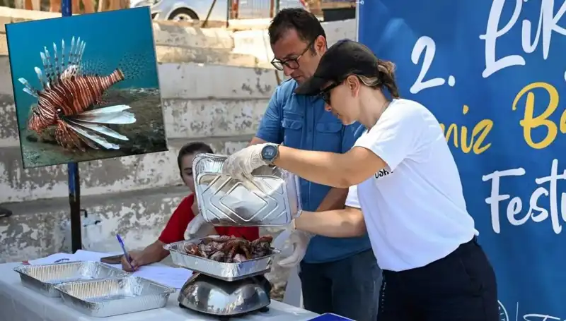 Antalya’da İstilacı Aslan Balığı Avlama Yarışması: Koruma ve Eğlence Bir Arada