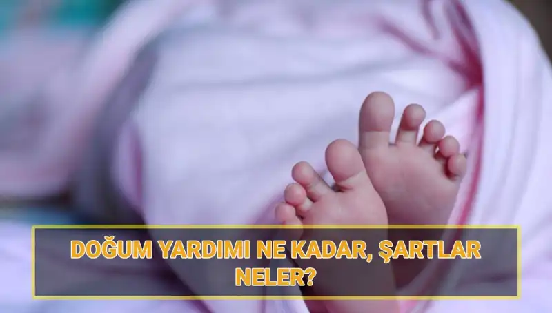 2025 Çocuk Parası Miktarı ve Başvuru Şartları Açıklandı!