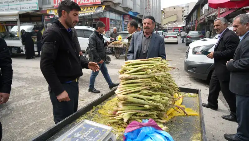 Şekerin Kanser ve Mide Hastalıklarına Etkisi: Dağlık Alanlardan Gelen Mucizevi Doğa Ürünü