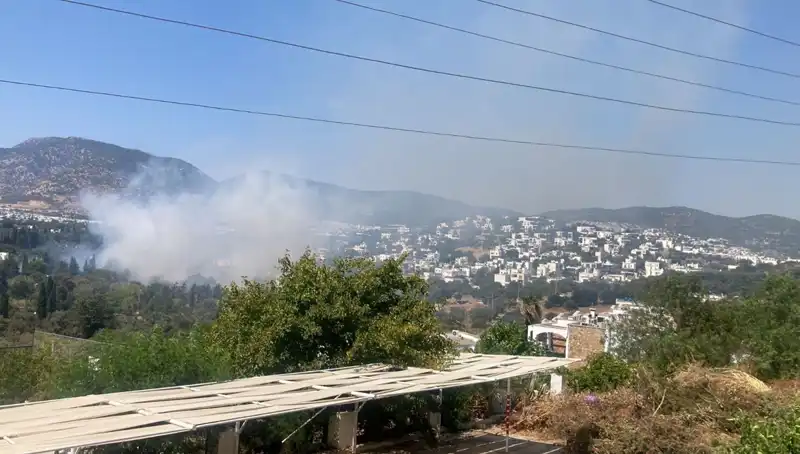 Muğla'daki Orman Yangınları Kontrol Altına Alındı: Son Durum ve Gelecek Adımlar