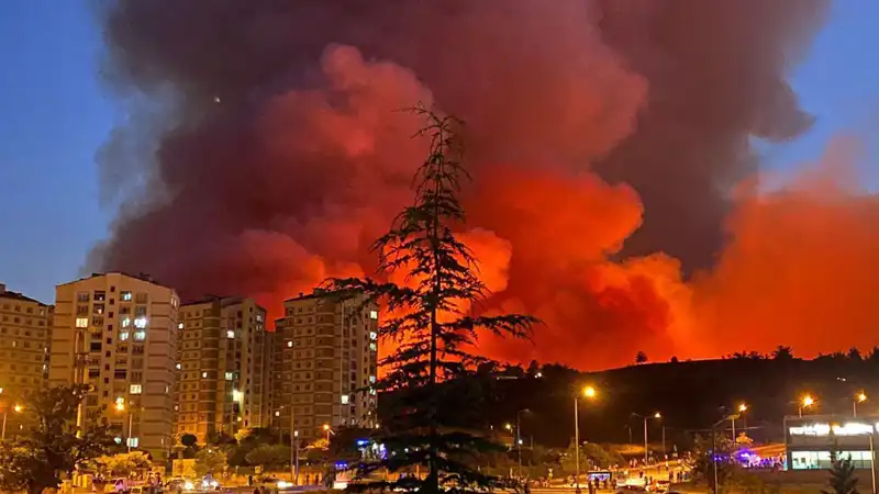 Bursa’da Korkutan Yangınlar: Şehirde Seferberlik Başladı