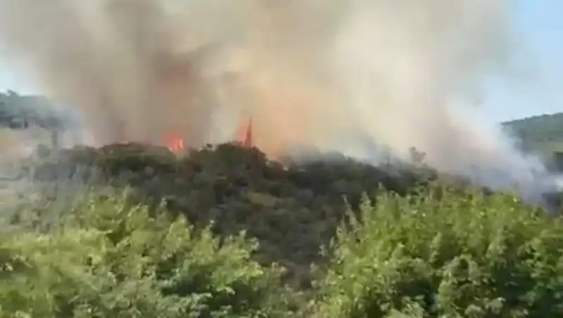 İstanbul’un Kalbinde Korkutan Orman Yangını: Vatandaşlar Acil Tahliye Edildi