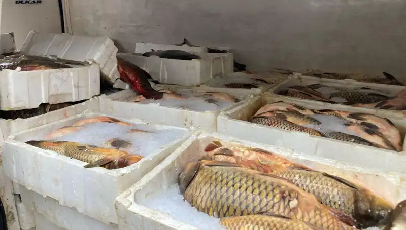 Kaçak Balık Avı Yapanlara Ağır Cezalar: Binlerce Lira İle Karşılaşabilirsiniz