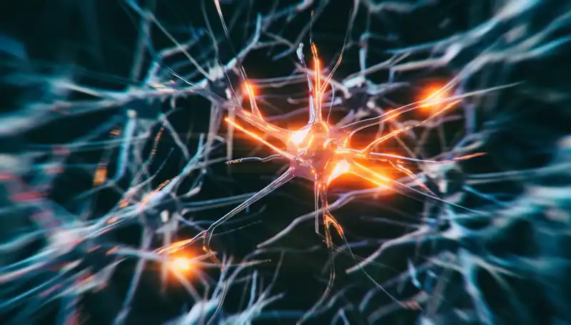 Alzheimer Vakalarının Artış Nedeni: Belirtiler ve Önlemler
