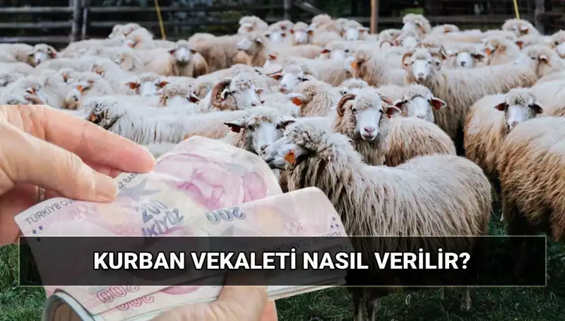 Vekaletle Kurban Kesimi 2025: Diyanet'in Belirlediği Bedel ve Süreçler