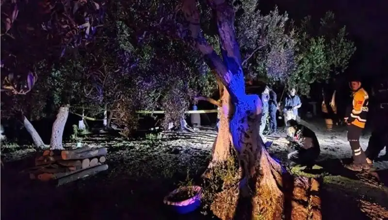 Çiftlikteki Baltalı Vahşete Son Verildi: Tutuklama Gerçekleşti