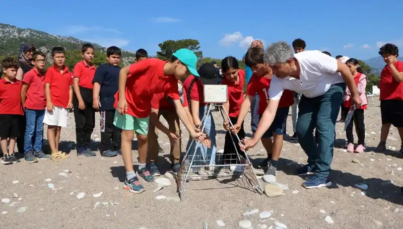 Kemer'de Caretta Caretta Koruma Yasakları Uygulanmaya Başladı!
