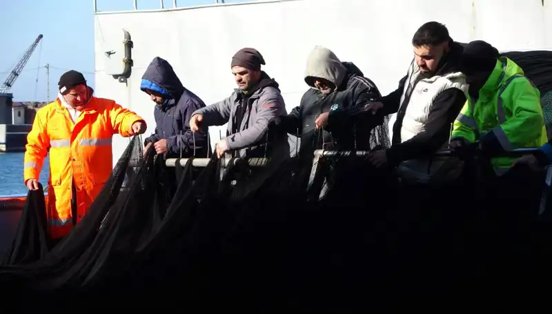 Denizlerde Hamsi Stoku Alarm Veriyor: Balıkçılar Üretim Düşüklüğünden Şikayetçi!