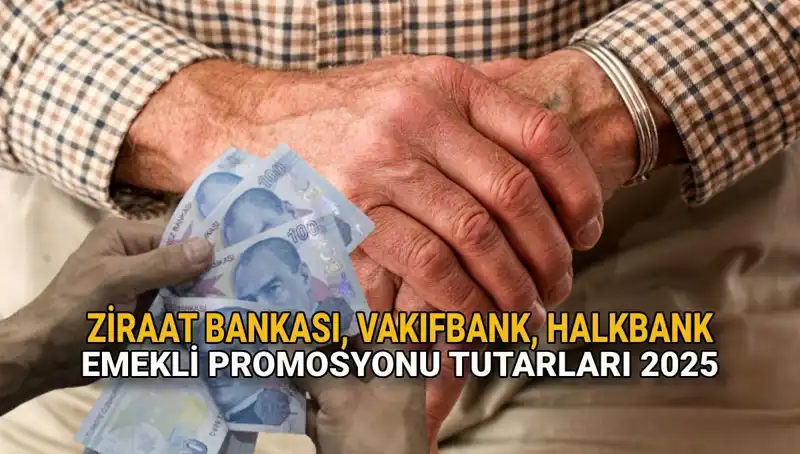 2025'te Kamu Bankalarından Emeklilere Özel Promosyon Fırsatları