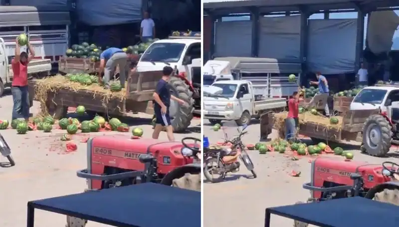 Çiftçiler, Karpuzları Yere Atmakla Cezalandırılacak! İlgili Olayda Ne Oluyor?