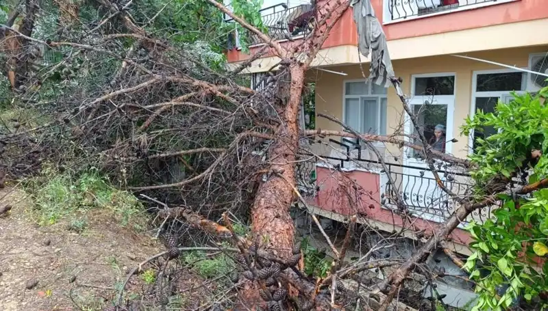 Yağmura Dayanamayan Bina Çöktü: Dram dolu Anlar ve Hasar Tespitleri