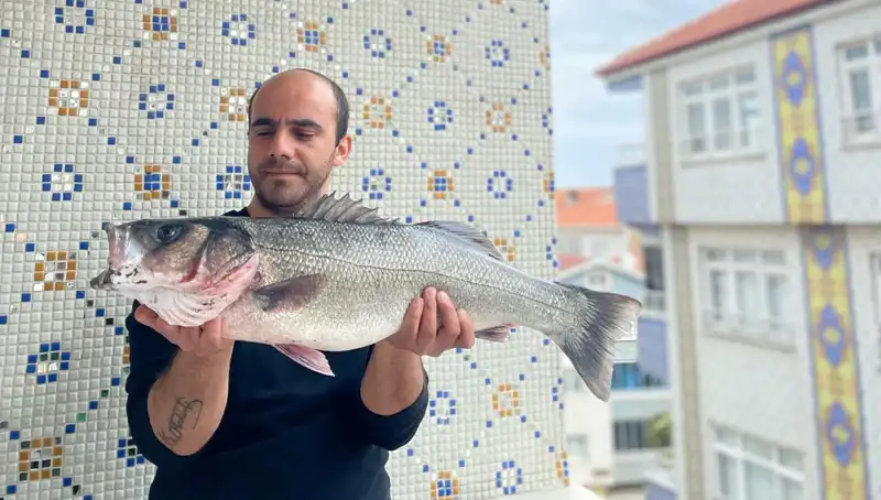 7,5 Kiloluk Dev Levrek Avında Şaşırtıcı Anlar Yaşandı