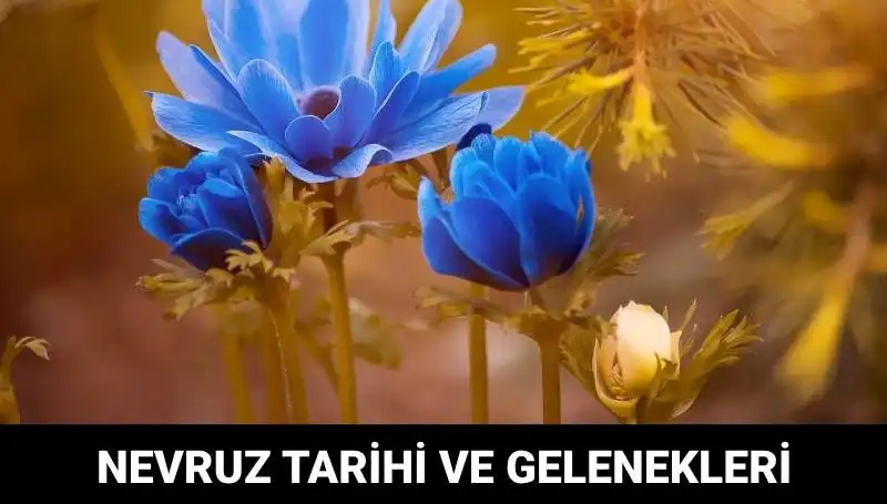 Nevruz Bayramı: Gelenekler ve Kutlamaların Derin Anlamı