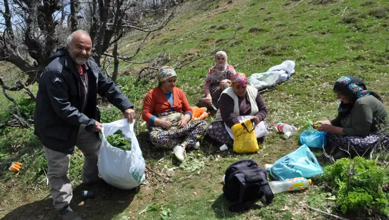 Dağlarda 5 Saat Yürüyerek Kilo Başına 250 Lira Kazanıyorlar