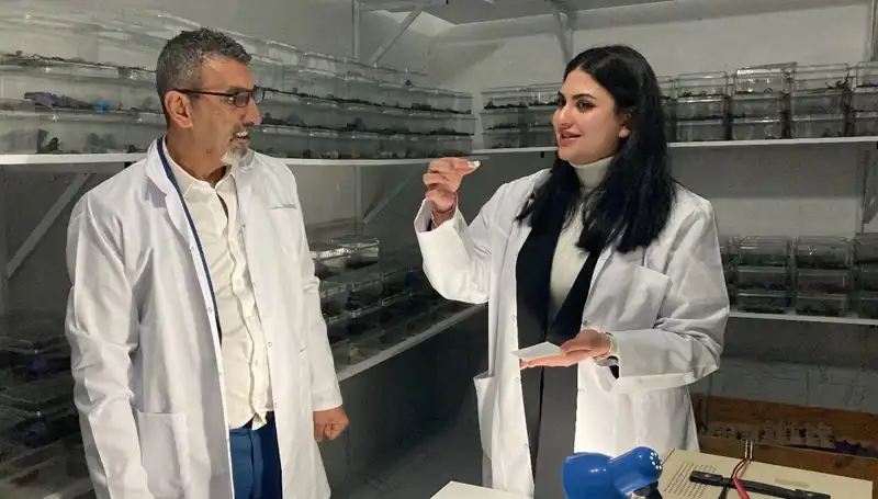 Akrep Zehrini Şekere Damlatıp Yiyenler: Bu İnanılmaz Deney Nedir?