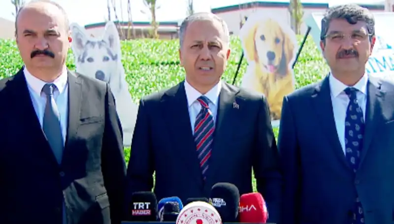 İçişleri Bakanlığı'ndan Sokak Köpekleri İçin 81 İle Müfettiş Gönderildi: Tartışmalar Nasıl Gelişecek?