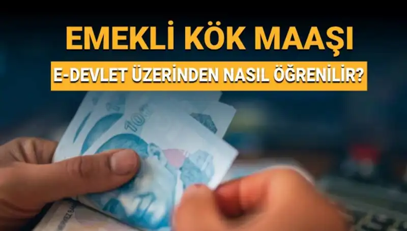 Kök Maaş Nedir ve Nasıl Hesaplanır? Öğrenmek İster misiniz?