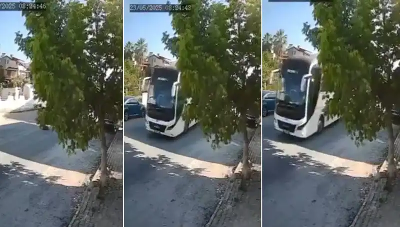 Yolda Yatan Köpeği Ezip Giden Sürücü Bununla Yetinmedi!