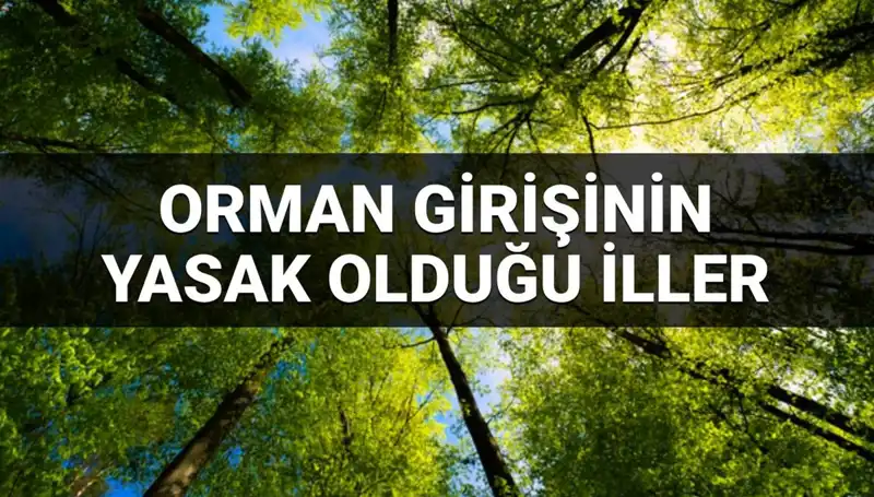 Orman Girişine Yasaklı İller 2025 Listesi Açıklandı!