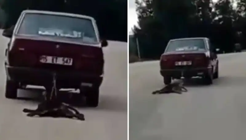 Otomobilin Arkasına Bağlı Köpeği Sürükleme Skandalı: Hayvanseverler Tepkili!